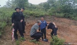 遵义凤冈爆料事件最新消息,最新进展揭秘，真相逐渐浮出水面