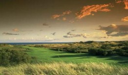 天堂网在线观看