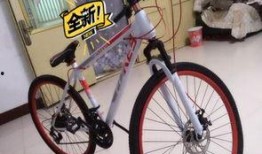 安阳自行车爆料视频,揭秘城市交通新趋势