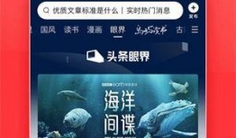 湖南爆料今日头条新闻视频,今日头条新闻视频聚焦重大事件，揭秘背后真相
