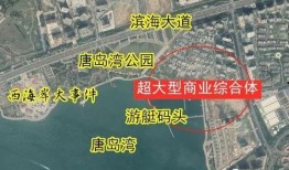 西海岸最新爆料,最新爆料背后的惊人真相
