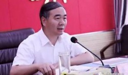 李国强最新爆料,揭秘事件背后惊人真相