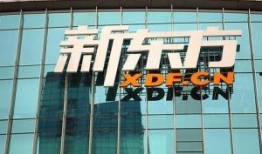 新东方官网爆料新闻,揭秘教育行业最新动态与趋势