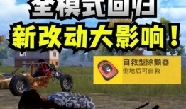 和平精英新车牌最新爆料,车牌系统全面升级，全新车牌爆料来袭！