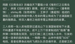 云南最新爆料视频,神秘事件引发热议