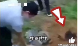 缅北视频爆料是真的吗还是假的,真相还是谣言？