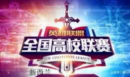 新西兰战队爆料视频播放,揭秘赛场幕后故事