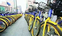 安阳自行车爆料视频,揭秘城市交通新趋势