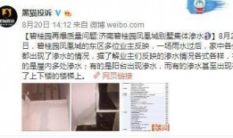 碧桂园最新事件爆料,揭秘事件背后真相与影响”