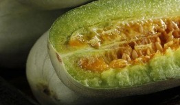 网红qq吃瓜黄料号,带你领略网络八卦的魅力