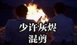 少许灰烬在线观看,探寻生命余烬中的温暖与希望