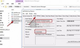 爆料袋鼠妈妈视频下载安装,揭秘袋鼠妈妈视频下载安装全过程