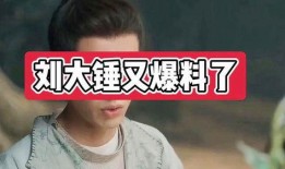 刘大锤最新爆料cp榜,最新cp榜单风云再起，谁将问鼎巅峰？