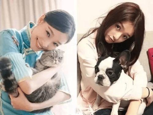 娱乐吃瓜拍到恋情,当红明星甜蜜恋情曝光，甜蜜瞬间被吃瓜群众捕捉