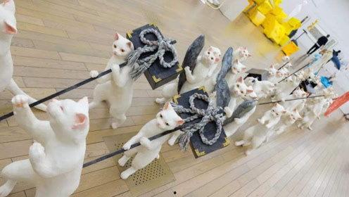 娱乐吃瓜君内增高,揭秘明星内增高背后的秘密