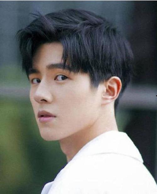 娱乐吃瓜君鲜肉男团,鲜肉男团背后的故事与魅力