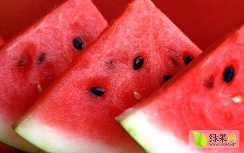 娱乐吃瓜菌中国