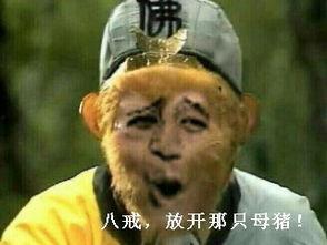 孙悟空吃瓜子表情包,笑料横生！孙悟空表情包带你领略经典瞬间