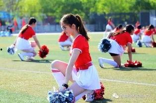 吃瓜娱乐校园,揭秘校园里的那些娱乐八卦